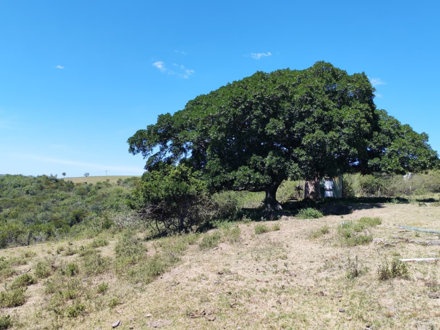 Commercial Property for Sale in Komga Rural Eastern Cape